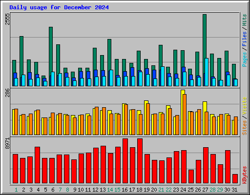 Daily usage for December 2024