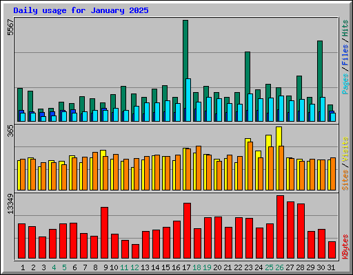 Daily usage for January 2025