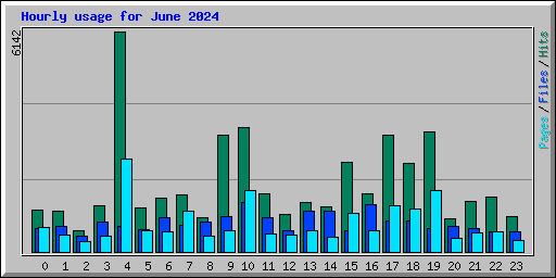Hourly usage for June 2024