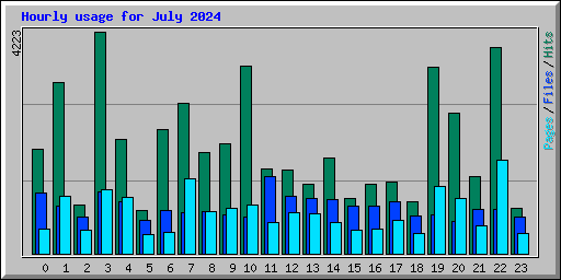Hourly usage for July 2024