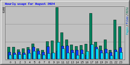 Hourly usage for August 2024