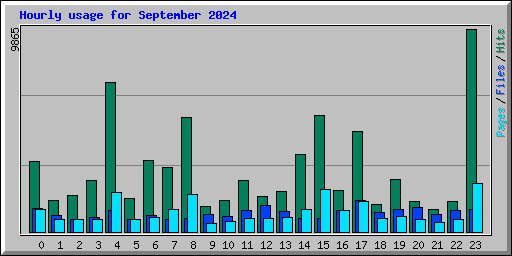 Hourly usage for September 2024