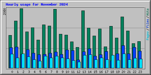 Hourly usage for November 2024