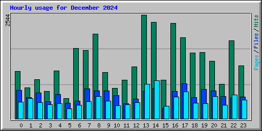 Hourly usage for December 2024