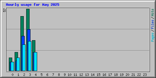 Hourly usage for May 2025