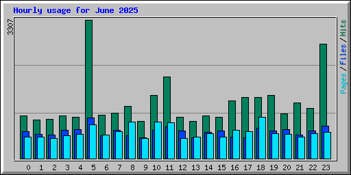 Hourly usage for June 2025