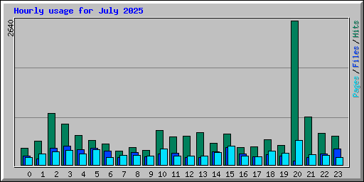 Hourly usage for July 2025